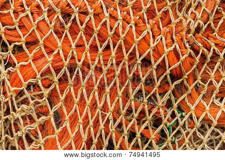 Orange Nets