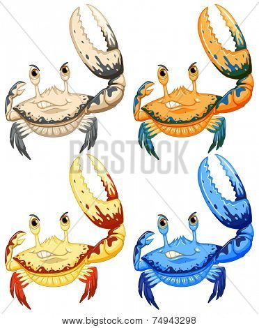 illustration of a set of crabs 