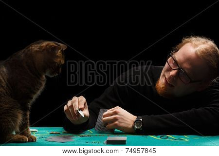 Gambler And Cat