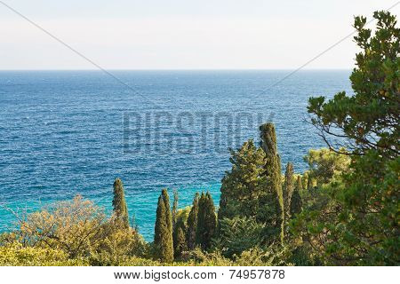 View Of Black Sea From Alupka, Crimea