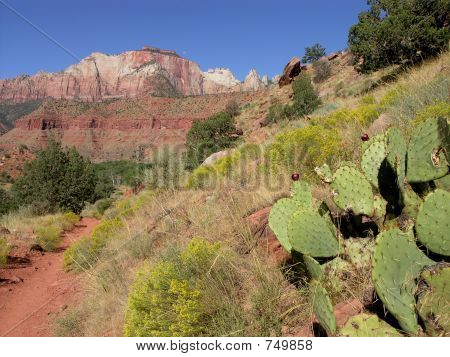 Národní Park Zion Utah