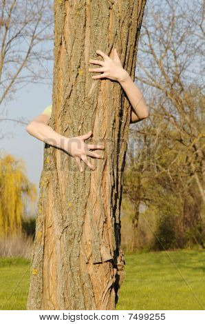 Treehugger