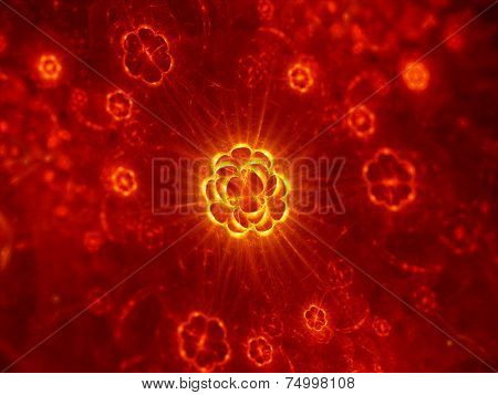 Glowing Bacteria In Mitosis