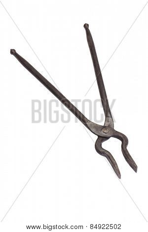 Close-up of a tong pakkad