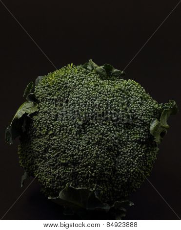 Isolated Broccolli