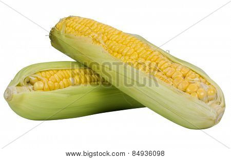 Close-up of corn cobs