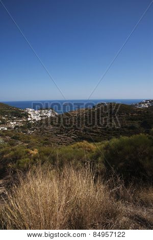 Terraced field with sea in the background, Ponza, Tyrrhenian Sea, Province Of Latina, Lazio, Italy
