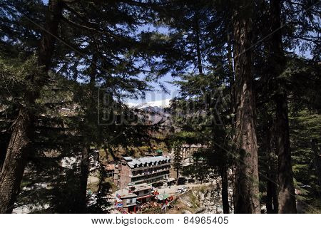 High angle view of a town, Manali, Himachal Pradesh, India