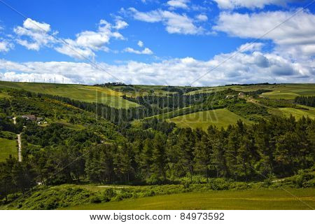 Trees on a hill, Vallata, Avellino, Campania, Italy