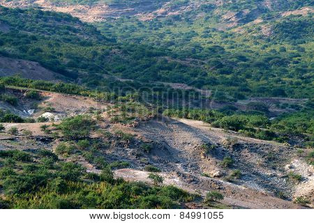 Olduvai Gorge