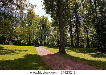 path in the forest park