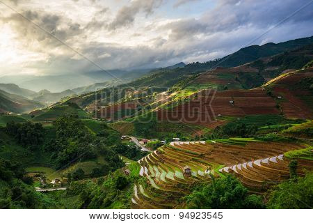 Rice fields on terraced in rainny season at Mu Cang Chai, Yen Bai, Vietnam.