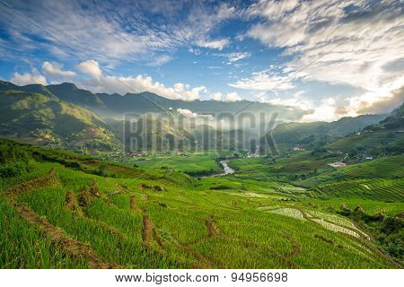 Rice fields on terraced in rainny season at SAPA, Lao Cai, Vietnam.