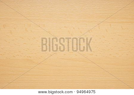 beech wood background