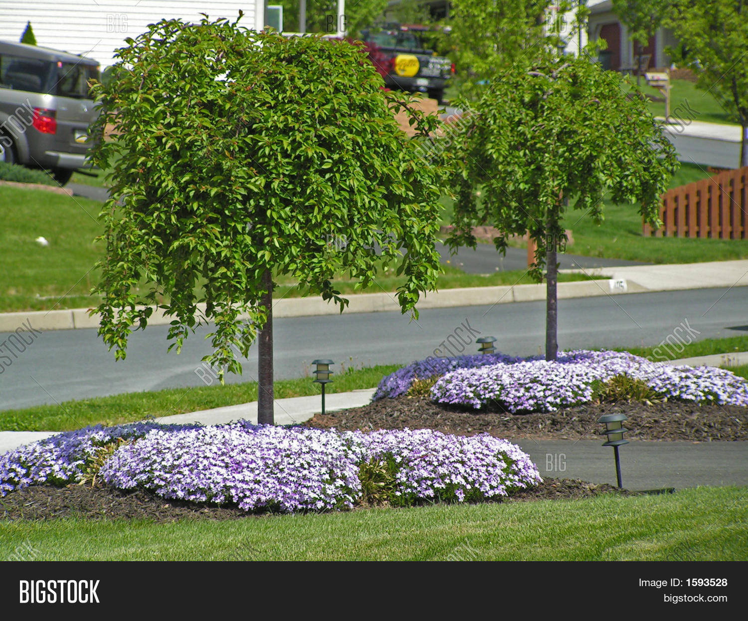 Plantings Driveway Entrance Image & Photo Bigstock