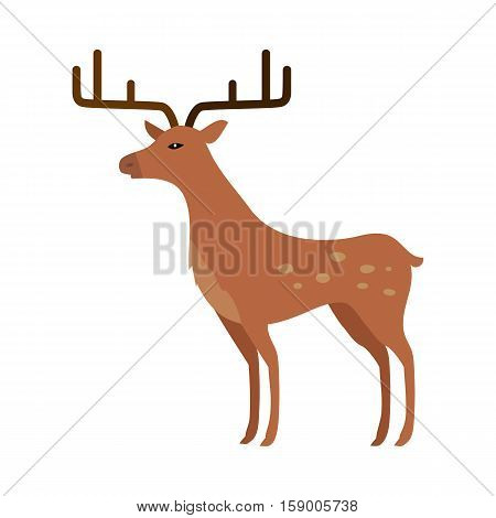 Deer isolated on white. Two main groups Cervinae, including muntjac, fallow deer and chital, and Capreolinae, including reindeer caribou, Western roe deer, and Eurasian elk moose. Cartoon deer. Vector