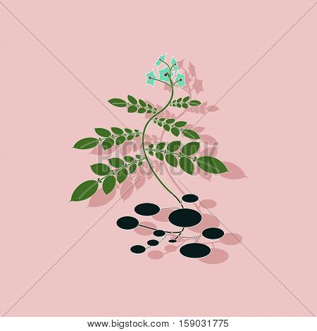 paper sticker on stylish background of plant Solanum