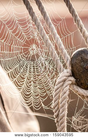 Morning Dew on Spiderweb backlit between touwgerei a historic fishing boat