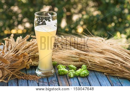 large glass of light unfiltered beer malt hops barley ears standing on an old wooden table dyeing natural background