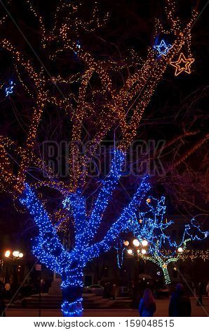 Blue and yellow decorated tree with lights in a park. Holidays illumination.