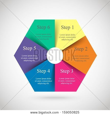Vector Infographic