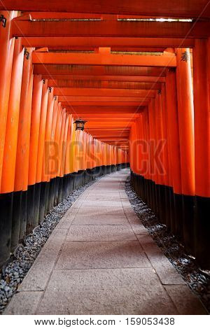 Dense rows of torii gates at Senbon Torii at Fushimi Inari Taisha in Kyoto