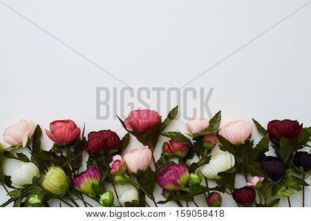 A mid shot of gorgeous flowers called peonies lying side-by-side on the simple white field. The image demonstrating harmony and tenuity