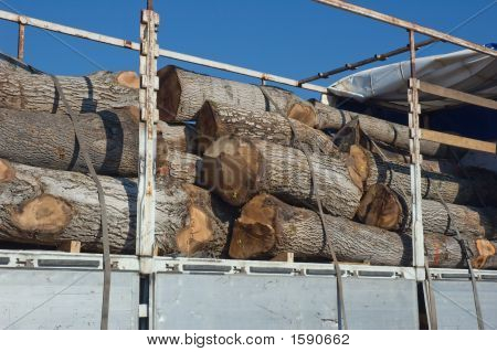Camion legno