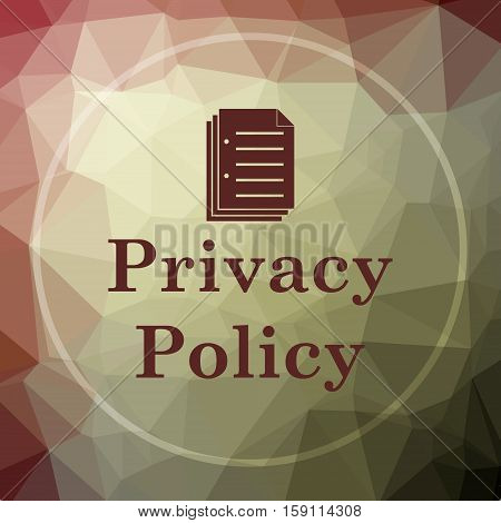 Privacy Policy Icon