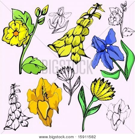 Vektorové ilustrace květin.