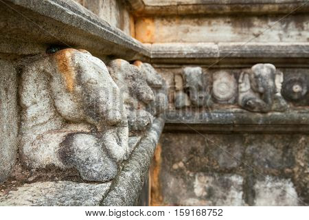 The sculpture of an elephant in deserted Buddhist temple in Anruadapura Sri Lanka