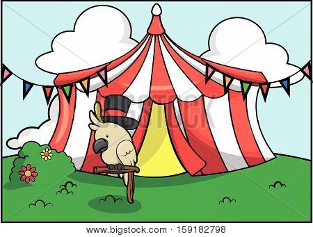 white parrot circus attraction festival vector illustration design eps 10