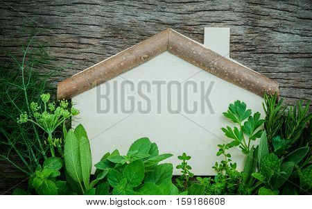 Aromatic Herbs And Spices  Green Mint ,fennel ,oregano, Sage,lemon Thyme And Peppermint With Fork An