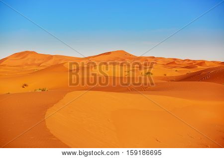 Sand Dunes In The Sahara Desert