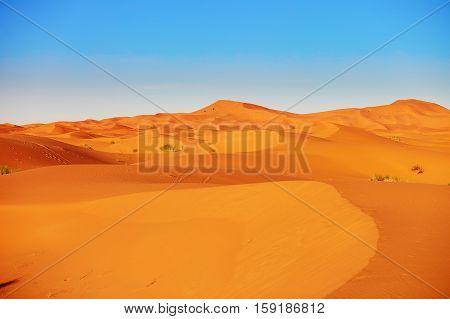 Sand Dunes In The Sahara Desert