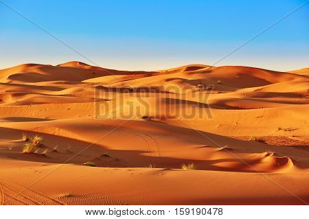Sand Dunes In The Sahara Desert
