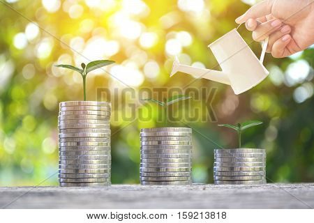coin in watering on wood and tree bokeh background.concept save money