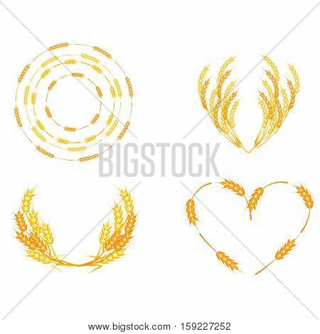 Wheat ears or rice icons set. Agricultural wheat spikelets symbols isolated on white background. Organic farm agriculture crop seed bread packaging or beer label. Vector wheat spikelets.