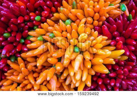 Red hot chilly pepers closeup background