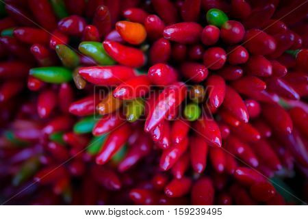 Red hot chilly pepers closeup background