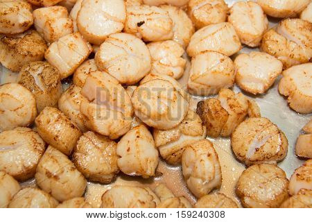 Seared Scallops in a pan for background
