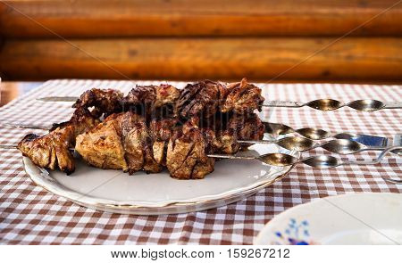 meat kebab on a plate on the table