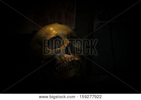 spotlight Shines on skull in dark room