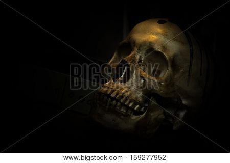 spotlight Shines on skull in dark room