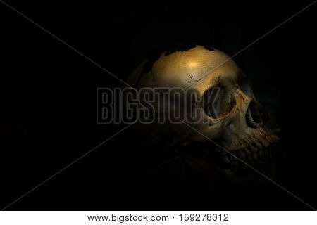 spotlight Shines on skull in dark room