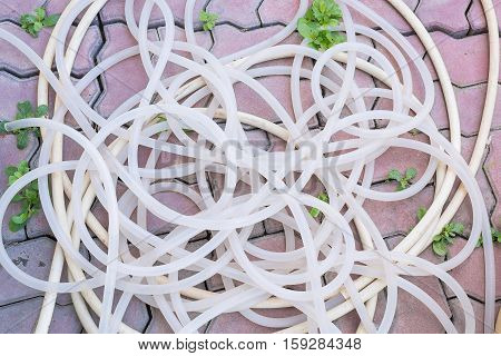 Old tangling rubber tube on flooring worm for gardening background