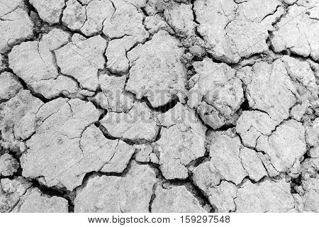 Drought Land - Cracked Ground.