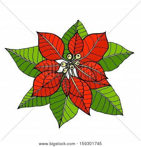 some branches of poinsettia with red bow and snow on white background