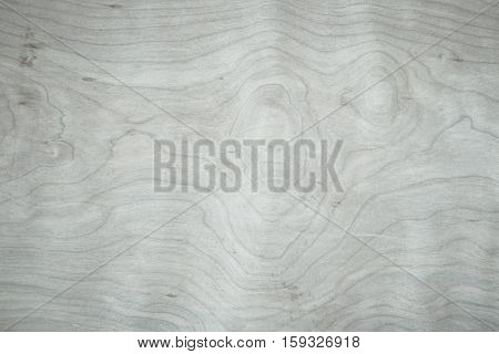 Real Natural Wood Texture wood background texture.architecture backdrop board color light vintage wall white wooden floor paint grunge backdrop pattern board rough rustic christmas.