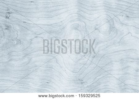 Real Natural Wood Texture wood background texture.architecture backdrop board color light vintage wall white wooden floor paint grunge backdrop pattern board rough rustic christmas.